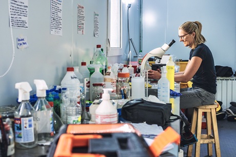 Kateřina Kopalová in the lab facilities at the Esperanza research base. Kateřina Kopalová in the lab facilities at the Esperanza research base.