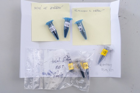 Vzorky nanostrukturních materiálů Vzorky nanostrukturních materiálů