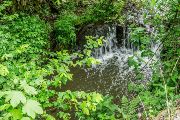 Jedním z pravostranných přítoků Svratky je potok Veverka, který měří necelých devět kilometrů. Pramení nedaleko Ostrovačic a do Svratky, respektive Brněnské přehrady, ústí přímo pod hradem Veveří.