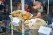 FVT_2026_DSC01658