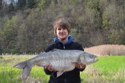 Největší označený bolen na Želivce měří 86 cm a váží 6,5 kg. Drží jej doktorský student Daniel Bartoň.