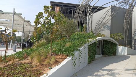 Garden in the desert at Expo 2020