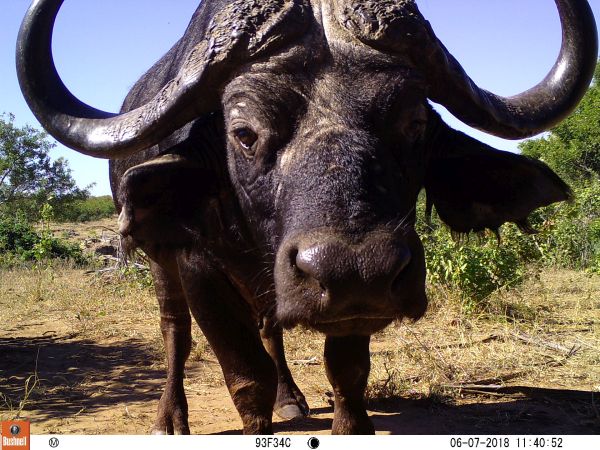 Fotografie z fotopasti