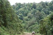 Tropický deštný les Chingawa v jihozápadní Etiopii je od ostatních afrických pralesů izolován pásy suchých savan. Před 6 milióny let zde vznikl rod hlodavců Chingawaemys, dnes se jedná o jeho jedinou známou lokalitu.  