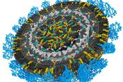 Nanočástice - řez: Řez částicí XMAN