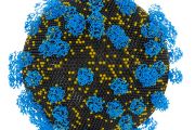 Nanočástice: Lipidická částice XMAN pro snadnou dopravu různých nukleových kyselin do buňky pro terapeutické účely