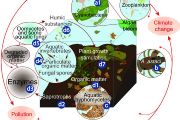 Klíčové role a hrozby vodních hub v sladkovodních ekosystémech. 