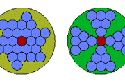 Šíření embolie mezi cévicemi vodivých pletiv dvou odlišných uspořádání. V obou případech embolie překonává přibližně 50 % stěn mezi sousedními cévicemi. Rozdílný výsledek je dán pouze tvarem: rostlina vlevo usychá, ta vpravo žije.