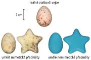 Fotografie vlaštovčího vejce (nahoře), podle kterého byly vyrobeny mimetické předměty napodobující tvar a/nebo zbarvení vajec.  Pro nemimetické předměty byla použita nápadná modrá barva.  