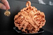 Haptické exponáty z 3D tiskárny: zlatý dvouplášťový gombík v měřítku 1 : 1 a v desetinásobném zvětšení. 