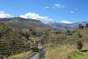 Peru, údolí Colca