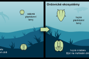 Typy trilobitích mláďat v mořských ekosystémech na počátku prvohor (v kambriu a ordoviku). 