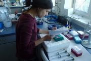 Dagmar Čížková při práci v laboratoři v detašovaném pracovišti ve Studenci