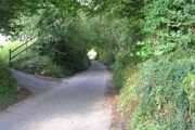 Biotop listnatého lesa, křovin a živých plotů typický pro norníka rudého – Cornwall, J. Anglie.