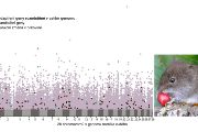 Univerzální adaptivní geny: propojení genetických metod a klimatických modelů odhalilo skupinu adaptivních genů nacházejích se na různých chromozomech v celém genomu, které usnadňují přežití v měnícím se prostředí.