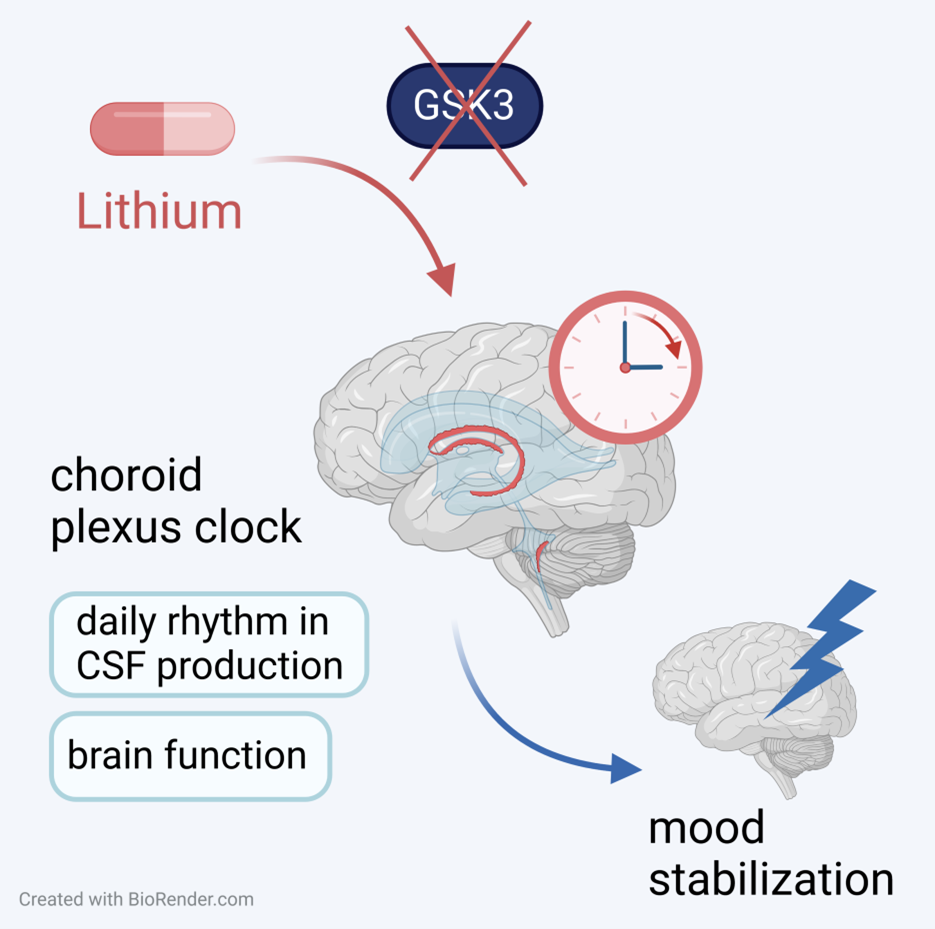 lithium