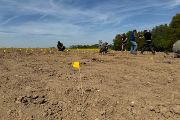 Během detektorové prospekce si archeologové všechna místa nálezu mincí průběžně označovali žlutými praporky.