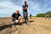 Veškeré na ploše pole roztroušené mince byly po nalezení archeology průběžně označovány žlutými praporky a následně geodeticky zaměřovány.