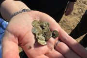 Z ornice čerstvě vyzvednuté stříbrné mince – denáry českých knížat z přelomu 11. a 12. století.