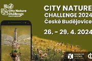 Šest českých měst soutěží v celosvětově největší výzvě pozorování městské přírody