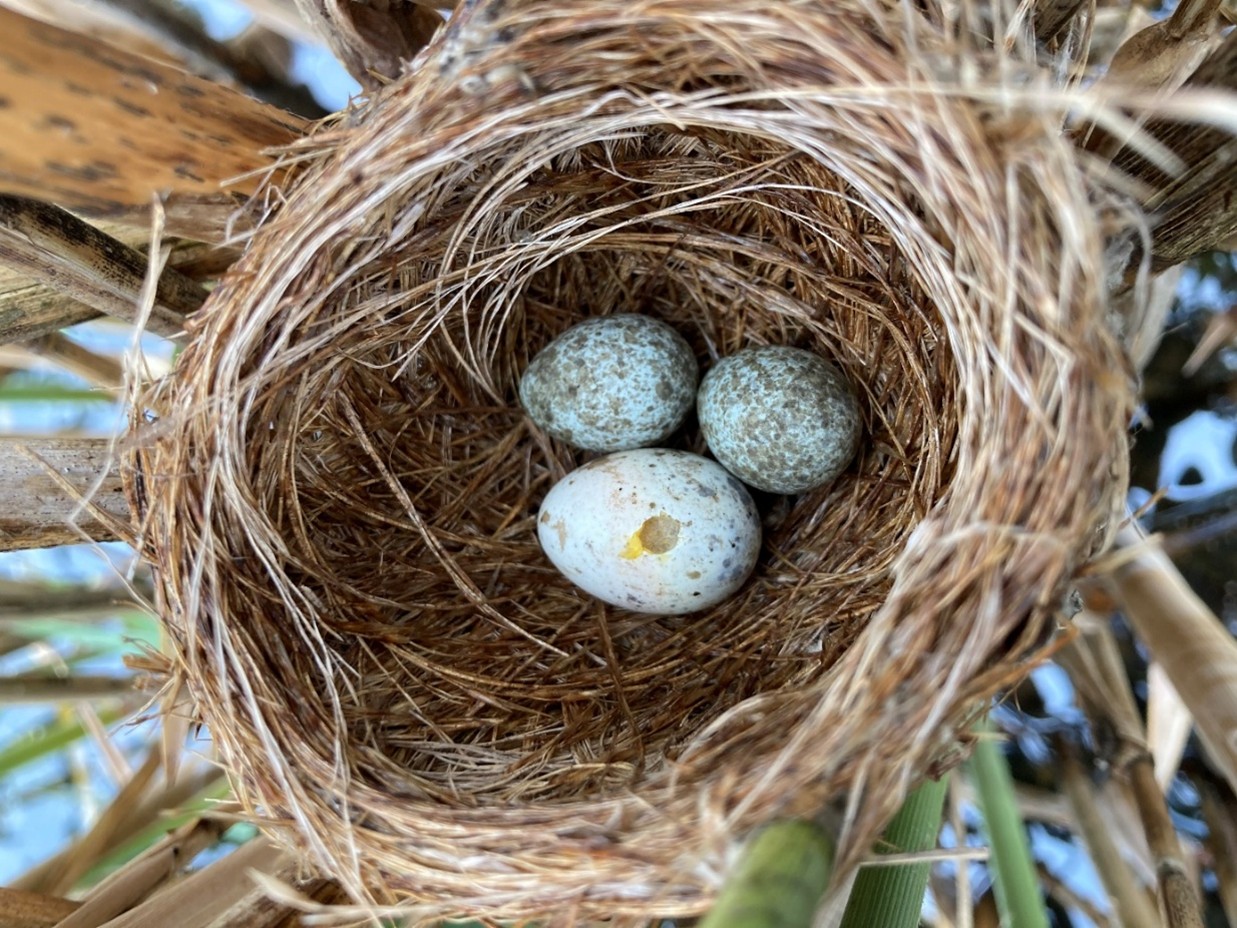 TZ_kukacky_01 TZ_kukacky_01