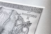 Albrecht Dürer: Nosorožec
