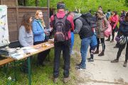 Na Festivalu pro čolka, který probíhal v Kurovickém lomu u Tlumačova, vědci představili veřejnosti netopýry