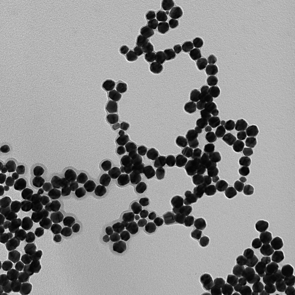 Nanočáastice zlata s polymerním obalem Nanočáastice zlata s polymerním obalem