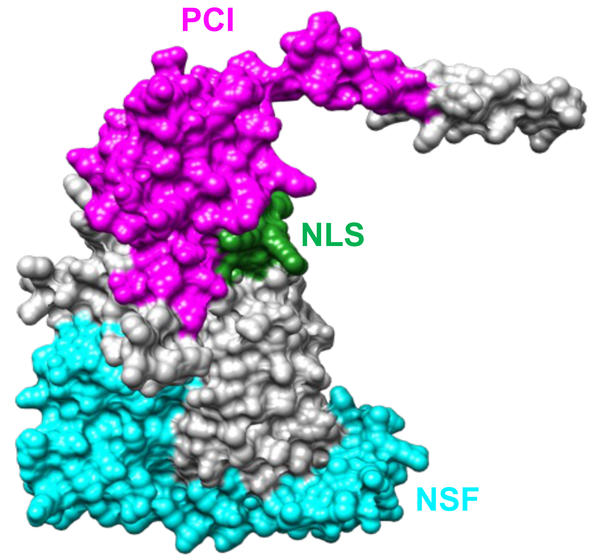 TZ_ÚEB_láčky_01 TZ_ÚEB_láčky_01