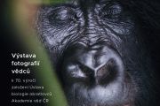vystava_plakat_konani_A5_03_2024_TISK_page-0001